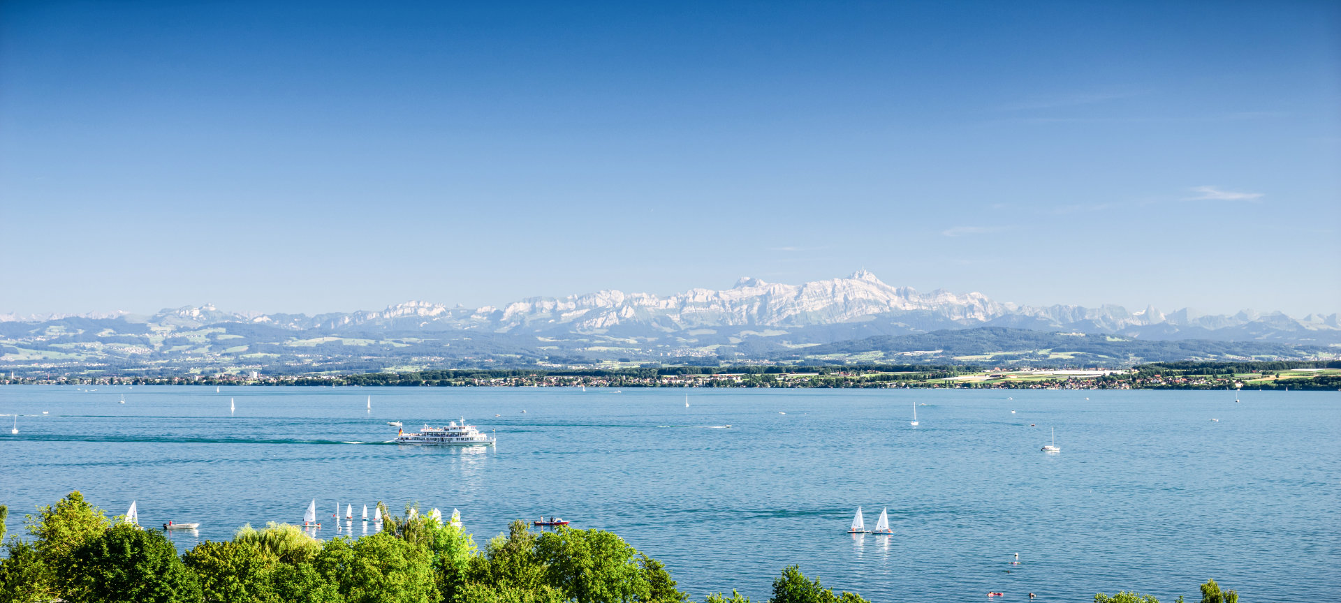 Panoramabild des Bodensees mit Alpen im Hintergrund